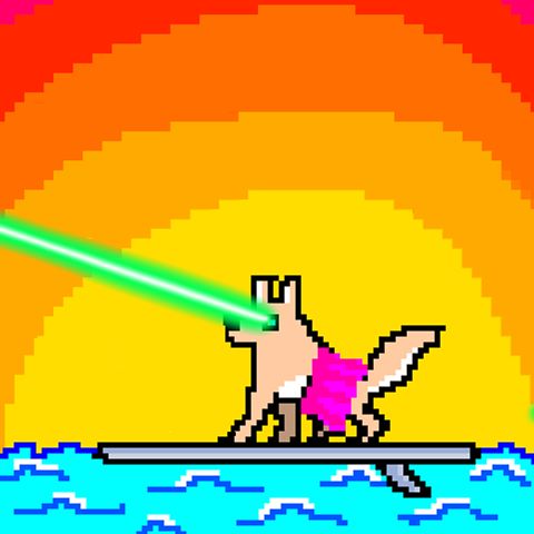 Laser Dog is surfing