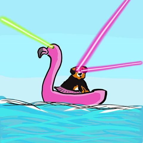 Dog riding on a flamingo
