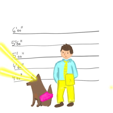 Mugshot with dog in tutu and laser eyes