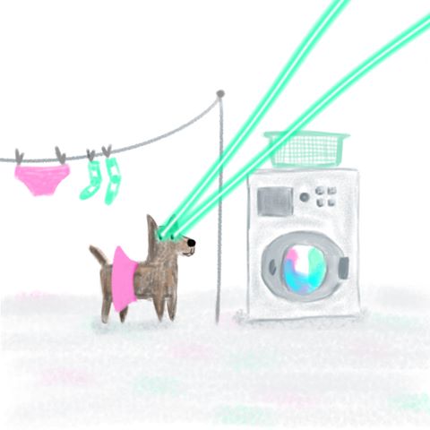 Dog cleaning its tutu with a washing machine